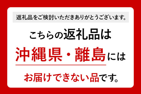 オーダーメイド焼印 電熱タイプ