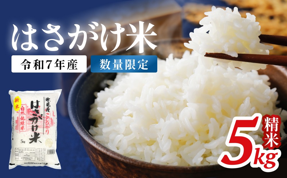 
                  令和７年産 はさがけ米 コシヒカリ 〈白米〉 5kg 
                