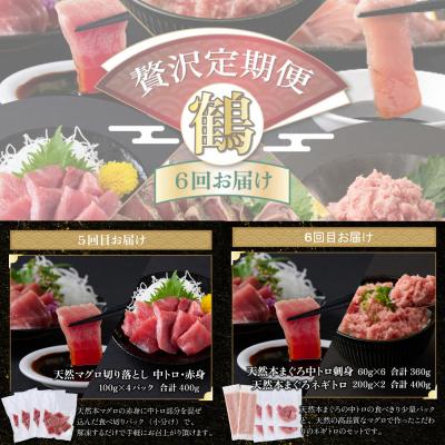 ふるさと納税 室戸市 【贅沢定期便「鶴」/全6回】タカシン水産厳選 高知の海鮮セット |  | 03