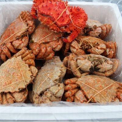ふるさと納税 根室市 【北海道根室産】クリガニ13〜17尾(4kg前後)、花咲ガニ1尾 C-57026 |  | 01