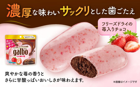 ガルボつぶ練り苺パウチ 48袋[AOAA029] チョコレート お菓子