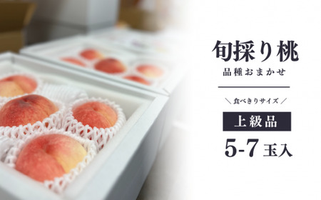 旬採り桃(品種おまかせ) 上級品 5-7玉 (岡山県産) 【KF-A002-04】
