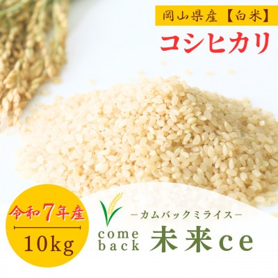 2025年新米【コシヒカリ 白米10kg】|-comeback未来ce-【1702354】