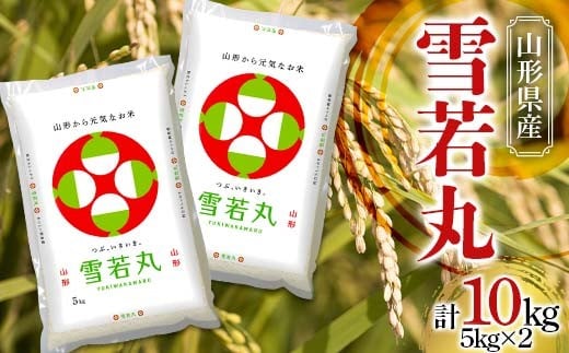 令和7年産 JA 雪若丸 10kg (5kg×2袋) 『JA山形おきたま』 山形県産 米 精米 山形県 南陽市 [843]