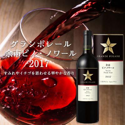 ふるさと納税 余市町 グランポレール 〜余市ピノ・ノワール 2017 〜_Y020-0535