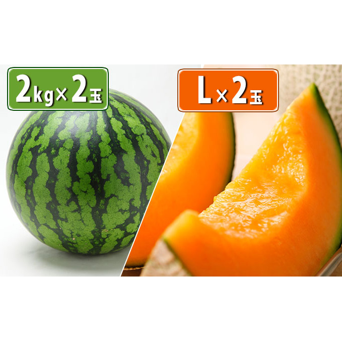 【令和7年産】先行予約 ふらの産 ミニスイカ 2kg×2玉＆ふらの 赤肉メロン L玉×2玉 セット 令和7年発送 先行受付 スイカ すいか メロン 赤肉 果物類 フルーツ メロン赤肉 