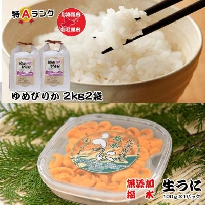 ふるさと納税 根室市 エゾバフンウニ塩水パック100g、ゆめぴりか2kg×2袋[10月下旬以降発送] F-65011