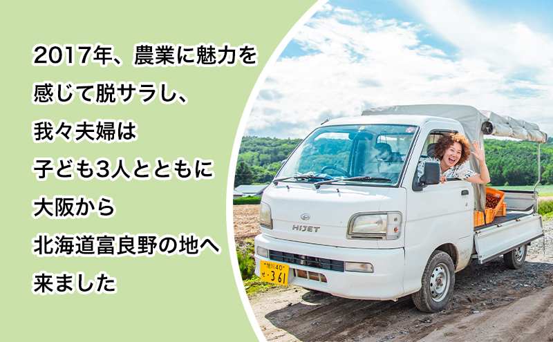 【数量限定・2025年7月中旬～順次発送】富良野 益田農園産 