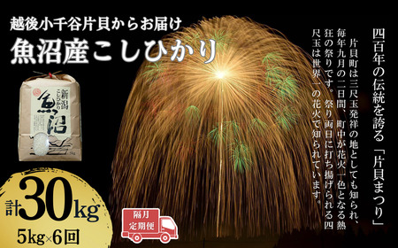 魚沼産コシヒカリ 定期便 5kg×6回隔月 魚沼地域