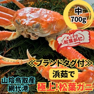 【22027】鳥取網代港【ブランドタグ付】浜茹で！極上松葉ガニ（中）700g※お届けは2026年11月中旬～【さかなや新鮮組】