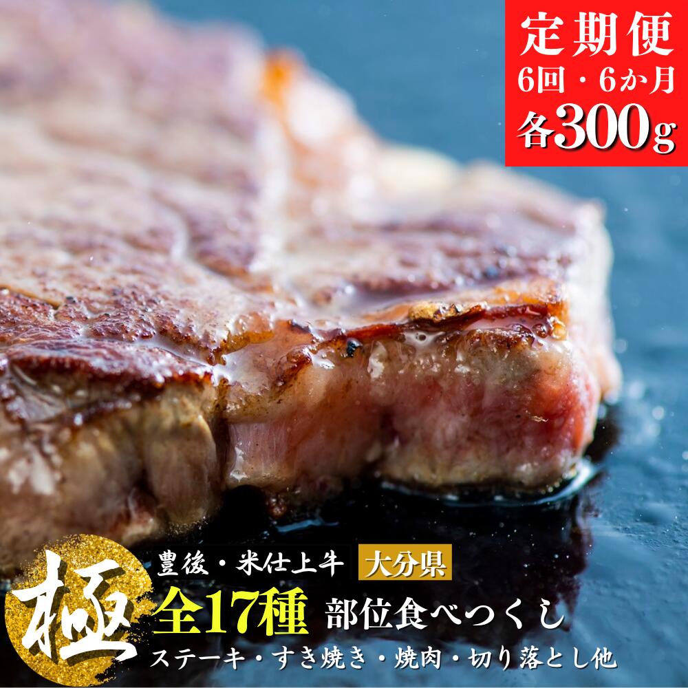 【ふるさと納税】【 定期便 】6か月 6kg 部位 17 種類 食べつくし 豊後・米仕上 牛【極】大分県産 ブランド牛
