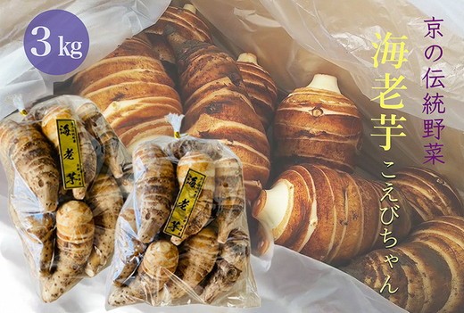 
            京の伝統野菜 海老芋 3kg こえびちゃん＜京都・亀岡 ほまれfarm＞ ｜ えび芋 京野菜 いも 芋 高級 やわらかい 煮物 おせち 正月 京料理 高級里芋 訳あり 小さいサイズ
          