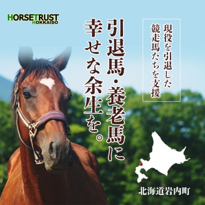 【引退競走馬 余生支援】北海道 岩内町 ホーストラスト北海道支援 (10)  F21H-556