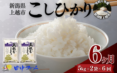 上越市産 新潟 コシヒカリ　5kg×2 6か月定期便 上越市 精米 米 コメ こしひかり ブランド米