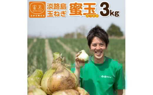 
            2025年度産　淡路島玉ねぎ「蜜玉」３kg（有機肥料100%）
          