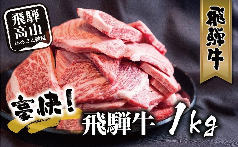 【2025年4月～6月発送】飛騨牛 訳あり焼肉1kg 切りおとし | 牛肉 訳あり 部位 大きさ 不揃い 日付指定不可 冷凍 焼き肉 BBQ バーベキュー 切落し 和牛 牛肉 飛騨高山 株式会社丸明 LR008FAJ04-06