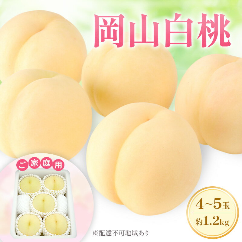 【ふるさと納税】もも 2025年 先行予約 【ご家庭用】 岡山白桃 エース 4～5玉 約1.2kg (6月下旬～7月下旬出荷予定)　お届け：2025年6月25日～2025年7月25日