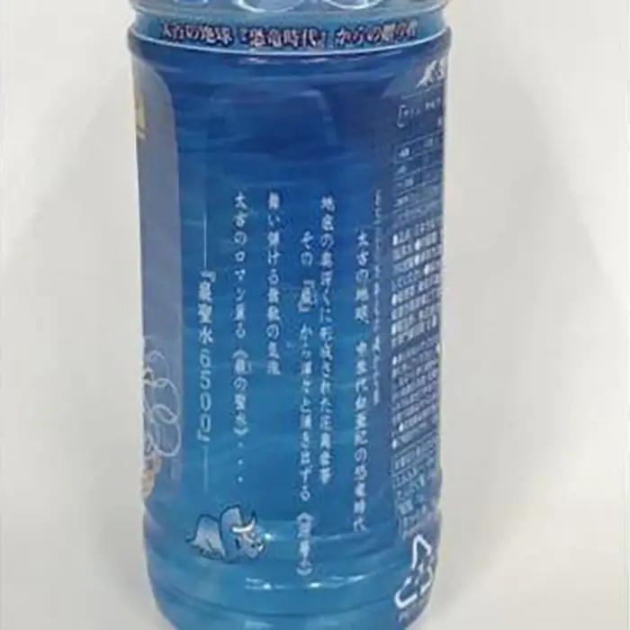 ミネラルウォーター巌聖水6500(がんせいすい6500)　(500ml×24本入り) ミネラルウォーター