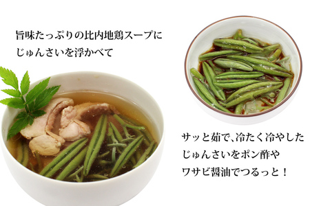 生じゅんさい500g＋比内地鶏スープ200ml×1袋 《冷蔵》（2027年5月上旬頃～7月下旬までに発送予定） 令和9年産 2027年産 先行受付  秋田県産 三種町産