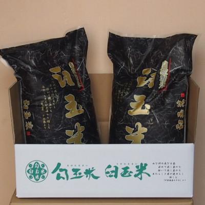ふるさと納税 糸魚川市 臼玉米(こしいぶき・精米)20kg(5kg×4袋)