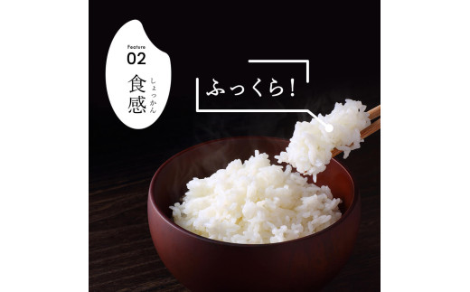 令和7年産 新潟県産 コシヒカリ 7kg 精米 米 お米 白米 コシヒカリ こしひかり おすすめ 人気 こめ コメ 新潟 見附 見附市 7年 2025年産 ふるさと納税 諸長