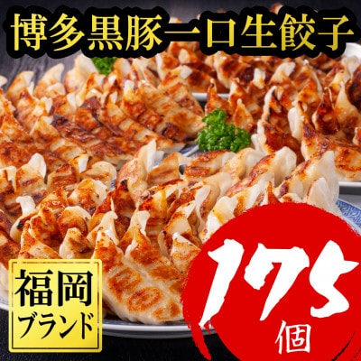 
                  ＜令和6年1月中に終了＞＜訳あり175個＞＜福岡ブランド＞博多黒豚一口生餃子ラー麦皮(大野城市)【1382081】
                
