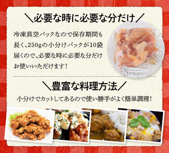 【令和7年9月発送】【小分け】宮崎県産若鶏　もも肉2.5kg（250g×10袋） 【 肉 鶏肉 精肉 小分け 便利 若鶏 もも 九州産 宮崎県産 川南町 おうちごはん 送料無料 】