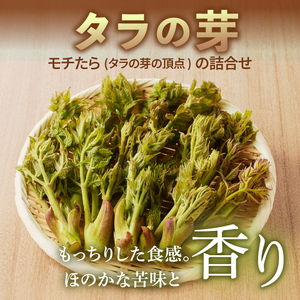 りんごと栽培タラの芽 [BK009]