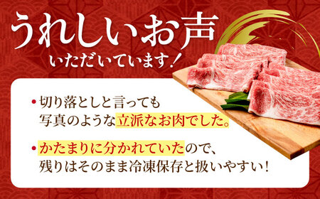 佐賀牛 特選 牛肉切り落とし 1kg / 牛肉切り落とし [IAG043]
