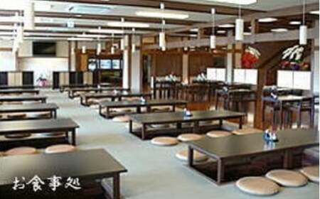 天然温泉 平野台の湯 安庵 入浴券 11回分 8000円分