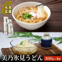 【ふるさと納税】訳あり 美乃氷見うどんお徳用4個入 | 氷見 うどん 乾麺 送料無料 細麺 手延べ ご当地 訳アリ わけあり 切れ端 お得