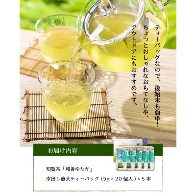 ふるさと納税 南九州市 知覧茶水出し煎茶ティーバッグ5本セット |  | 03