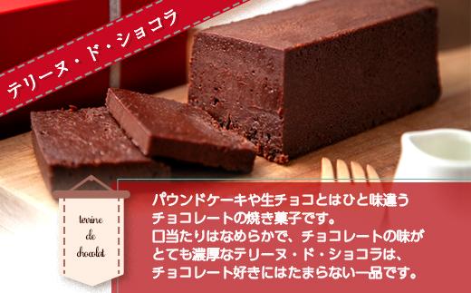 無地熨斗 テリーヌ・ド・ショコラ フランスゲランド塩付き 1本 テリーヌ ショコラ 濃厚 チョコレート チョコ 塩 洋菓子 焼き菓子 お菓子 スイーツ 贈り物 ギフト エイセンドウ 新潟県 南魚沼市