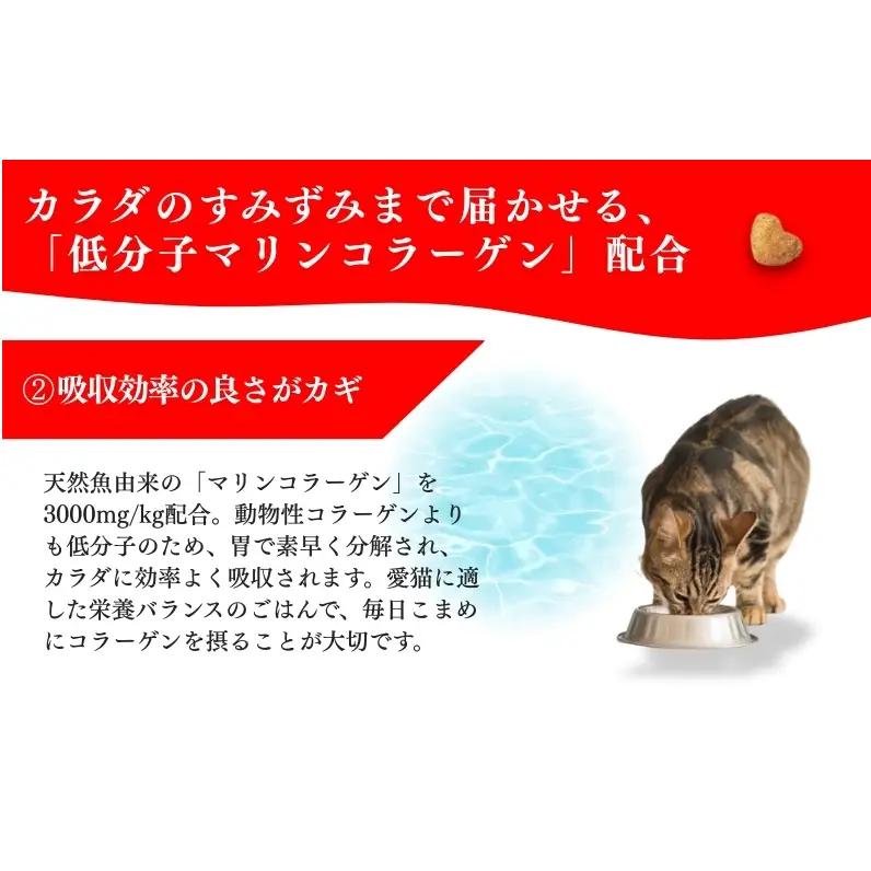 日本ペットフード ビューティープロ キャット 避妊・去勢後用 560g（80g×7袋入）×10袋（ケース） キャットフード