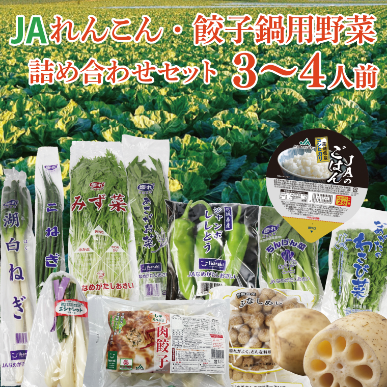 ★2026年9月より配送★ れんこん・餃子鍋用野菜詰め合わせセット！！（3～4人前）(AE-115)