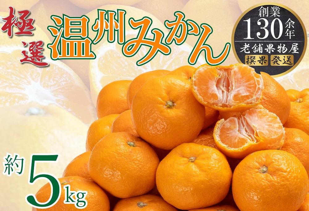 
極撰！温州みかん　約５ｋｇ
