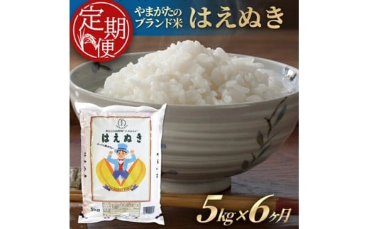 ≪6ヶ月定期便≫ はえぬき 5kg×6ヶ月連続 計30kg 山形県産 毎月中旬にお届け 東北 酒田市 庄内地方 精米 白米 ブランド米 ごはん ご飯 連続定期便 庄内米穀 SM0050