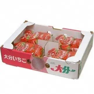 【先行予約】大分県ブランド いちご ベリーツ 約 800g ( 200g×4パック ) | 苺 イチゴ いちご ベリー フルーツ 果物 くだもの 大分県産 産地直送 九州産 国産 大分県 中津市