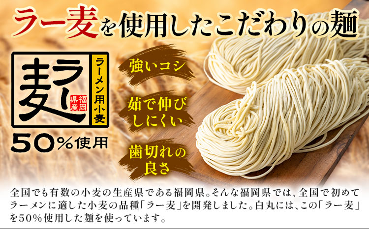 ラーメン 一風堂 白丸 ラー麦麺 セット 6食 地域商社ふるさぽ《90日以内に出荷予定(土日祝除く)》福岡県 鞍手町 ラーメン とんこつ 豚骨スープ 豚骨ラーメン ラー麦 麺---skr_fsipdr