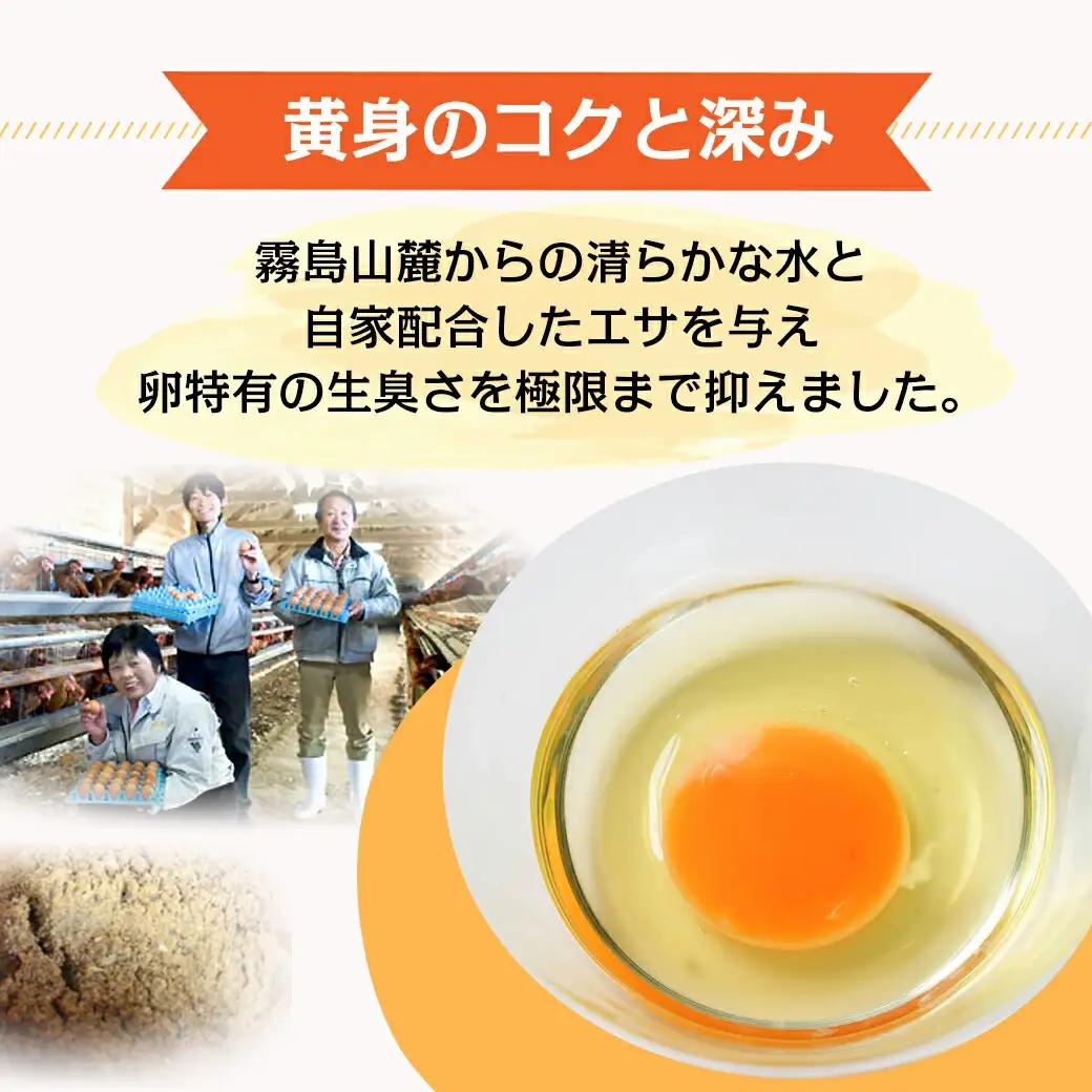 星空が綺麗な町より～「めぐみのたまご」(LまたはMサイズ)10kg〔16-6801〕_(都城市) 赤卵 めぐみのたまご 10kg Lサイズ Mサイズ たまごかけご飯