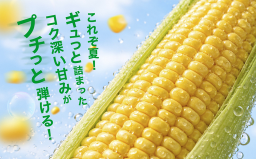 朝採れ とうもろこし 10~16本 イエロー とうもろこし