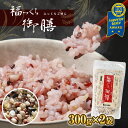 【ふるさと納税】雑穀米 全て国内産 福っくら御膳 300g × 2袋 計600g | 送料無料 13種類の雑穀 国産 もちあわ ひえ もちきび うるち玄米 もち玄米 赤米 黒米 緑米 裸麦 胚芽押麦 もち麦 はと麦 たかきび 世界が認めた雑穀 石川商店 千葉 君津 きみつ