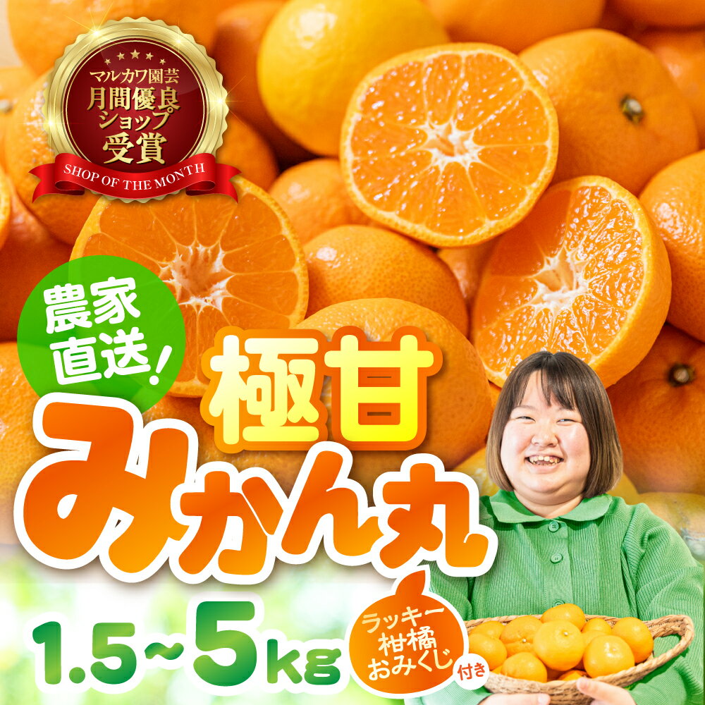 【ふるさと納税】≪すぐにお届け≫極甘！みかん丸 選べる1.5kg ~ 5kg 温州みかん みかん 蜜柑 マルカワ園芸 ミカン 柑橘 旬 果物 フルーツ 定期便 フルーツ定期 柑橘 甘い おススメ 人気 ランキング 3kg 5kg こだわり農家のお蜜柑屋 訳あり S mikann 1月 糖度 愛知県 豊橋市