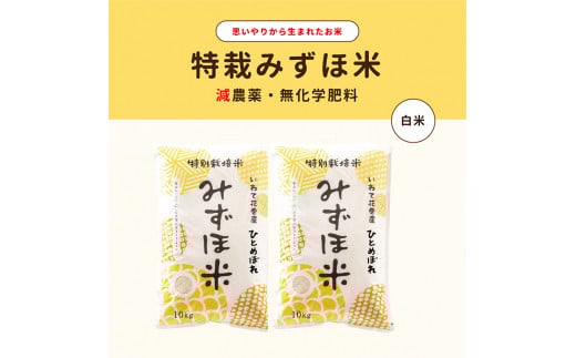 
            特別栽培みずほ米 ひとめぼれ 白米 20kg（10kg×2袋）　【1752】
          