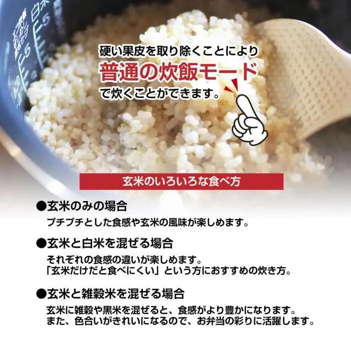 南魚沼産 コシヒカリ 普通に炊ける 玄米 2kg×2袋 計4kg こしひかり 新潟県 米 玄米食 コメ こめ｜主食