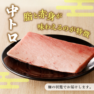 a10-1016　訳あり 天然 本まぐろ 中トロ 400g