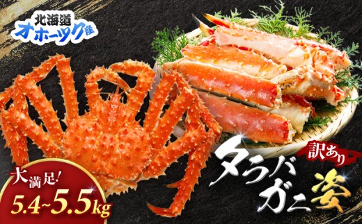 
                  《チョイス限定》北海道オホーツク産 訳アリ 冷タラバガニ姿　5.4～5.5kg | オンライン申請 ふるさと納税 北海道 雄武 北海道産タラバガニ タラバ カニ かに 蟹 冷凍 海産 海産物 ギフト 贈り物 お取り寄せ ワンストップ マイページ 雄武町【12440】
                