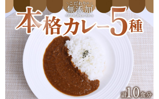 無添加で安心安全！スパイス香る本格カレー5種（200g×10食） カレー スパイス レトルト 5種 200g 10食 スパイスカレー キーマカレー レトルトカレー 無添加 セット 詰め合わせ ご当地 ギフト 贈答用 熊本 阿蘇 南小国町 送料無料