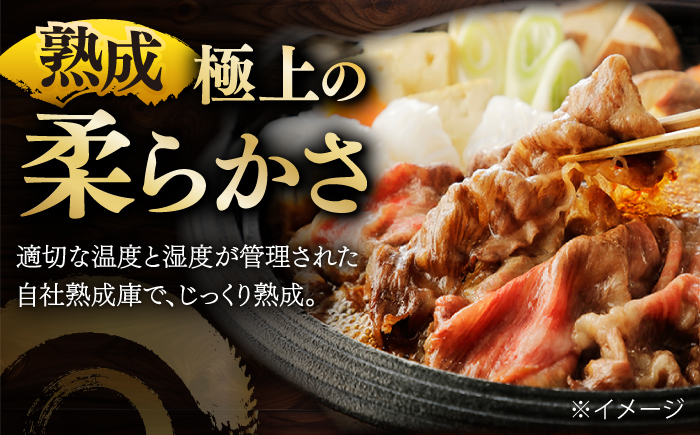 国産 黒毛和牛 熟成肉 切り落とし計1kg（500g×2パック）/ 小分け 国産牛 お肉 牛肉 切落し 冷凍 焼肉 すき焼き / 南島原市 / ふるさと企画 [SBA093]
