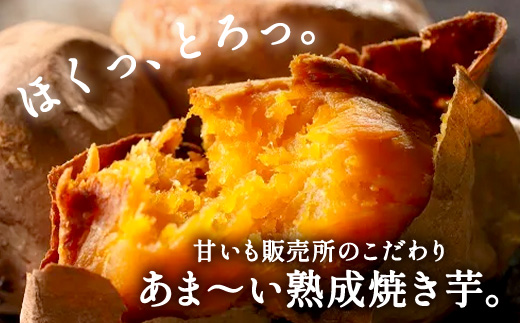 【選べる】冷凍 焼き芋(安納芋1kg) さつまいも 芋 冷やし焼き芋 ストック 腸活 おやつ 間食 人気 国産 自然食品 (a0001-A1) 安納芋1kg